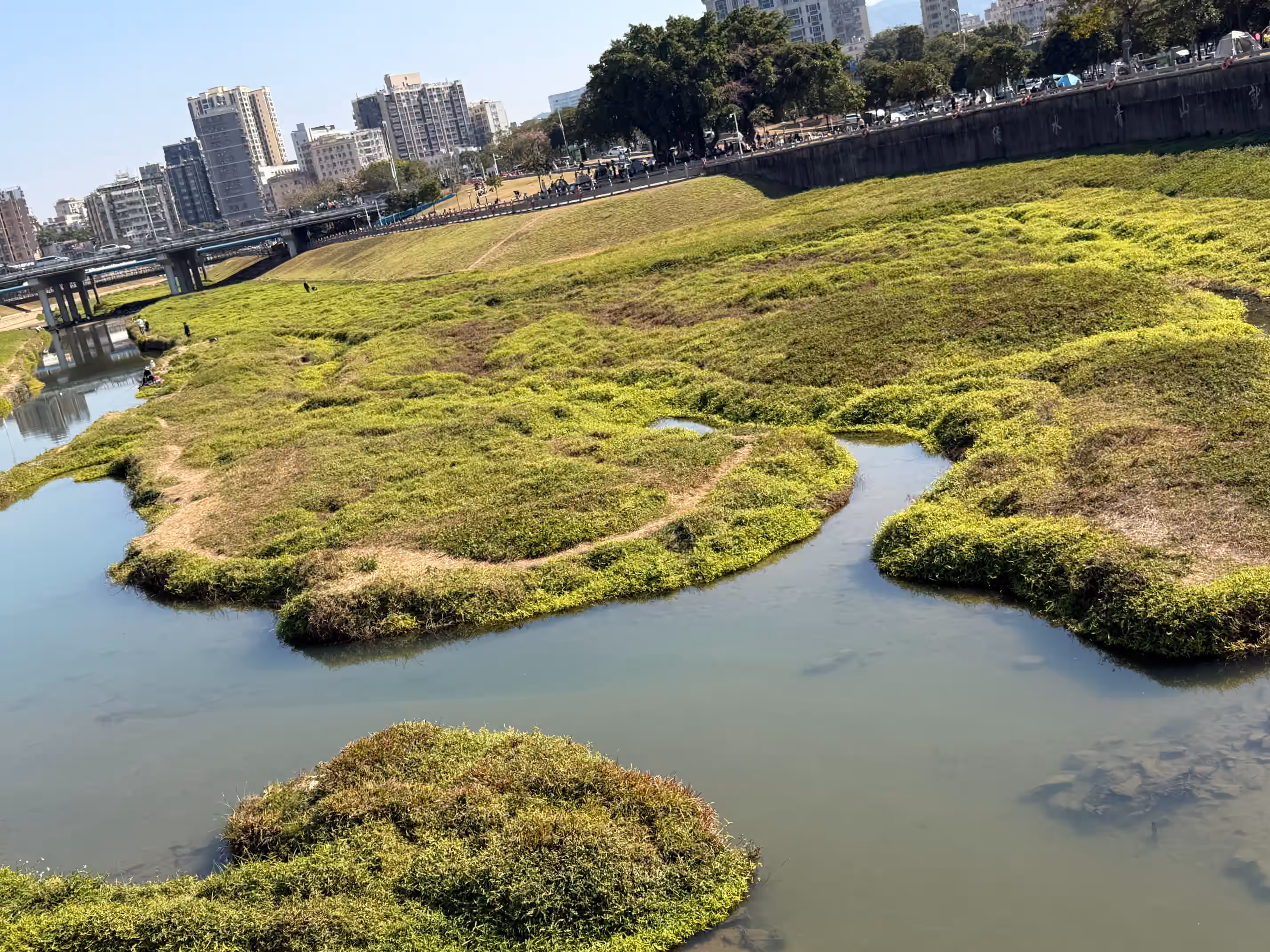 湿地