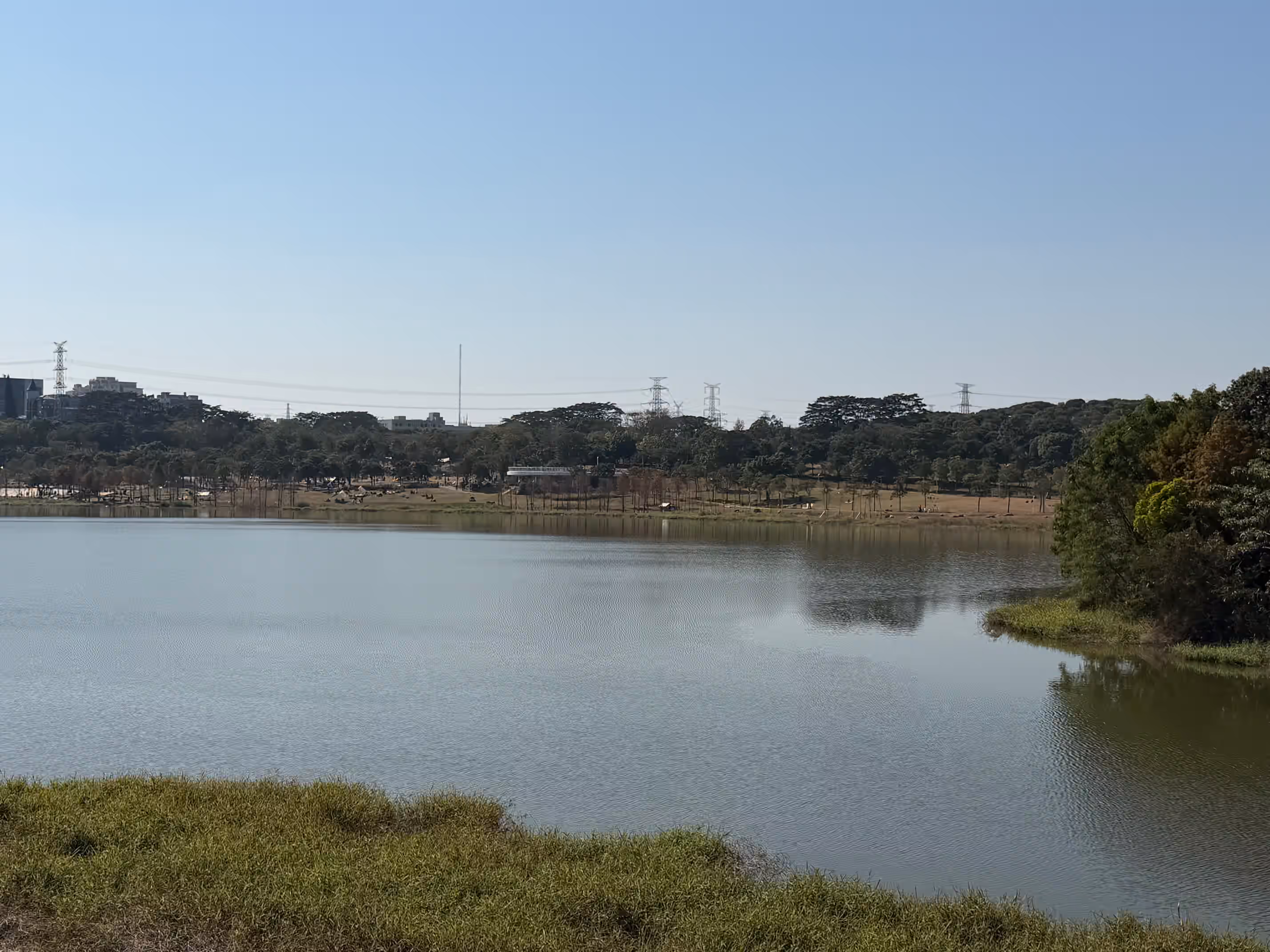 湖心岛-左