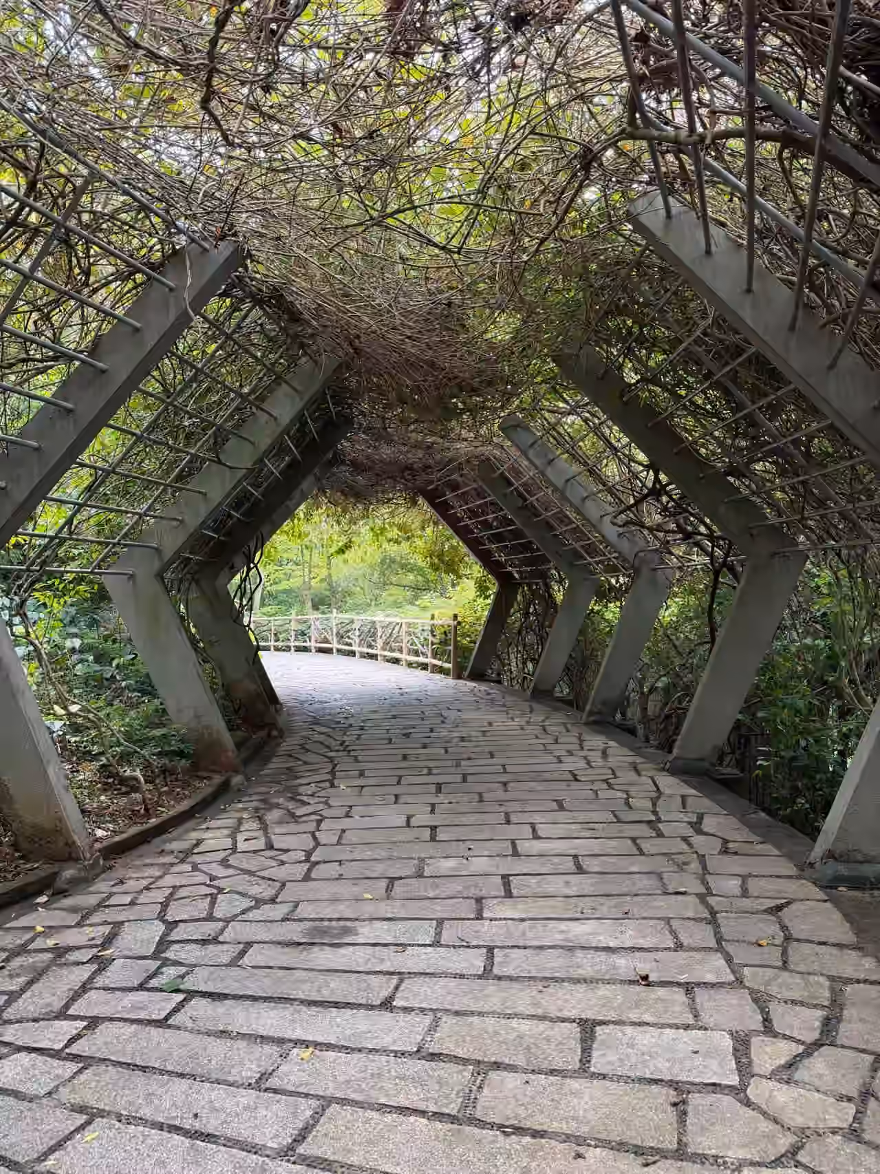 植物园-其它-7