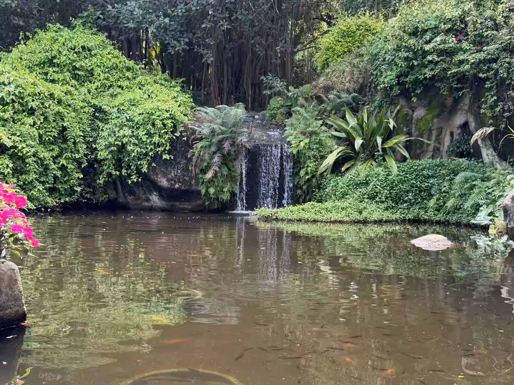 植物园-其它-1