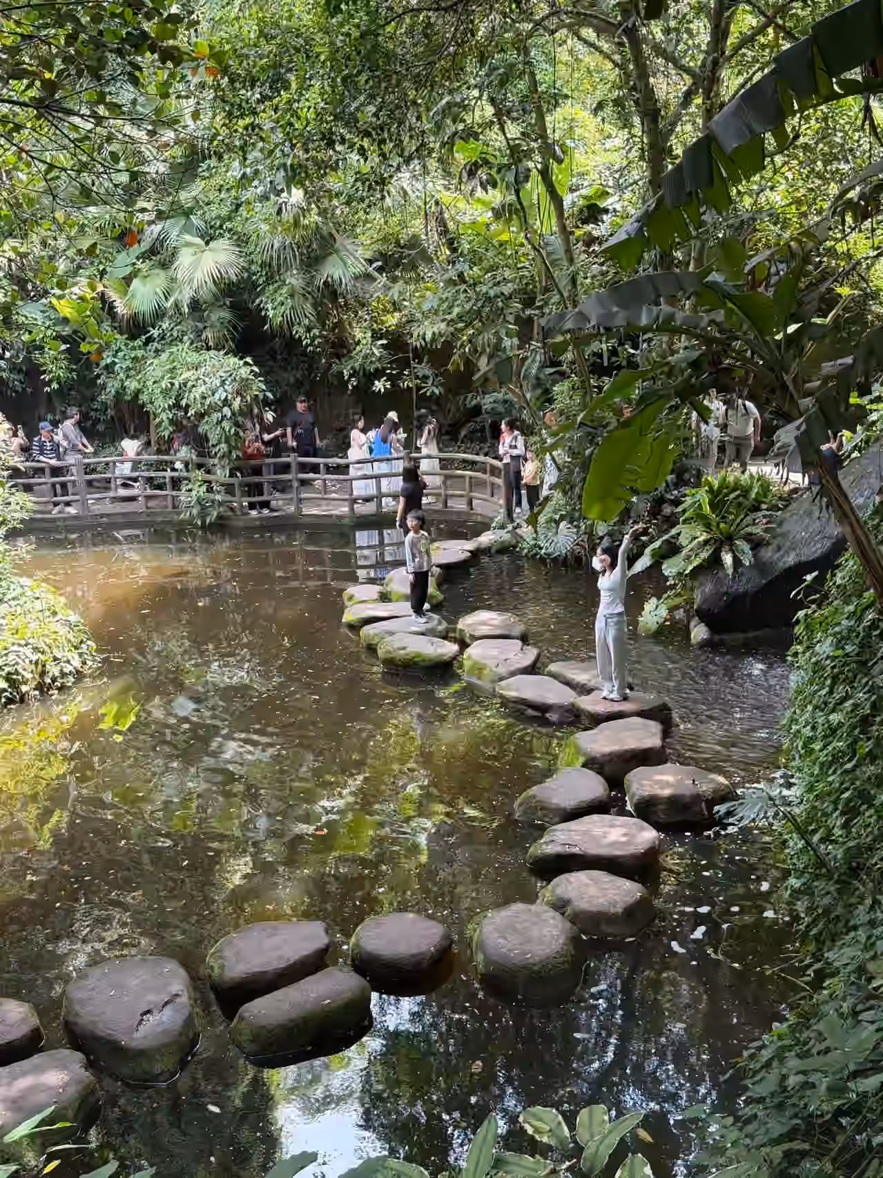 植物园-雨林区-4