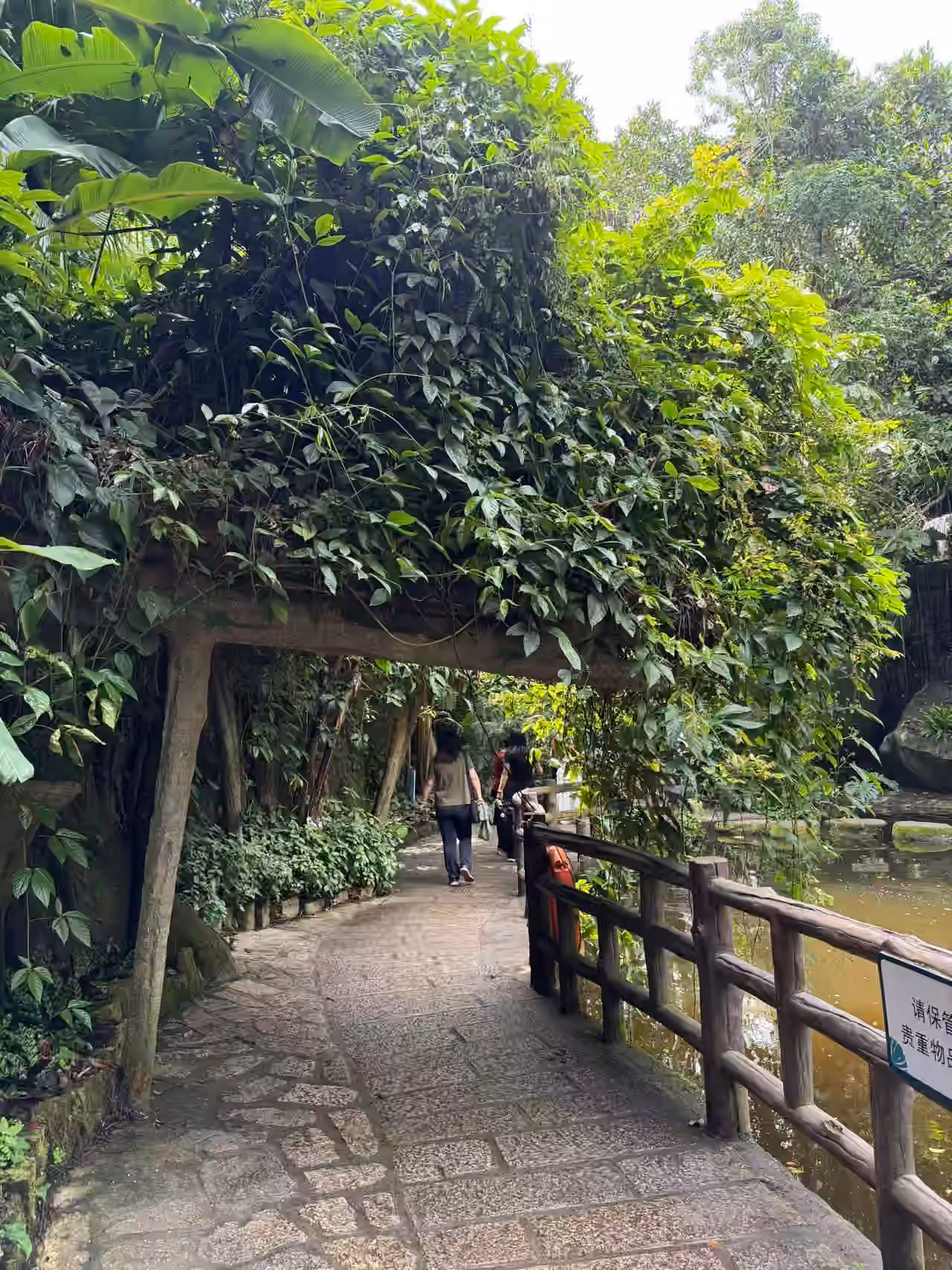 植物园-雨林区-3