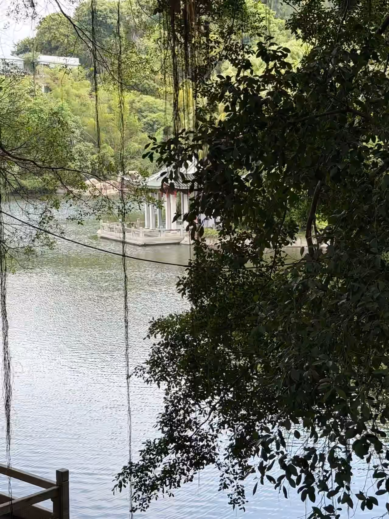 植物园-其它-3