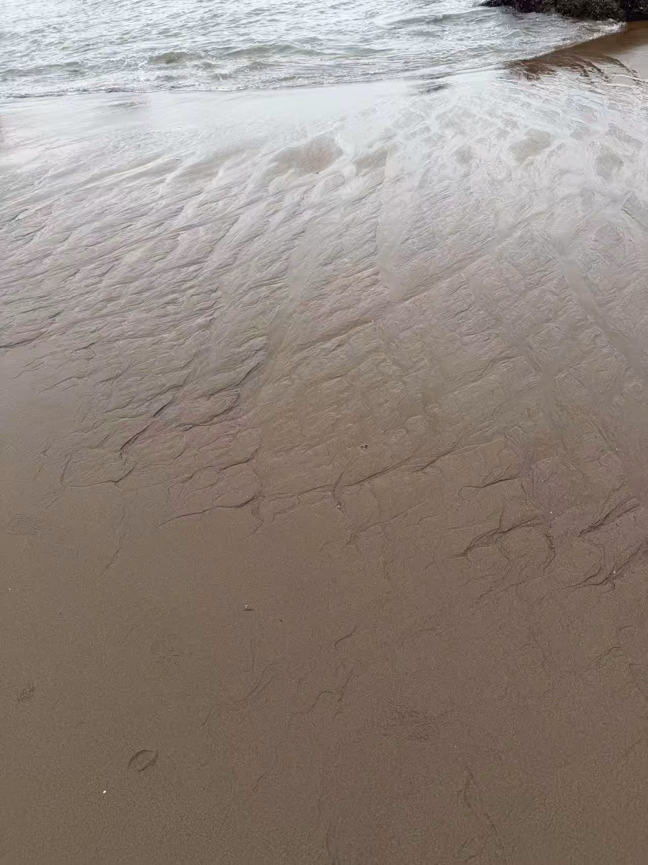 鼓浪屿-沙滩-龟裂的乌龟壳