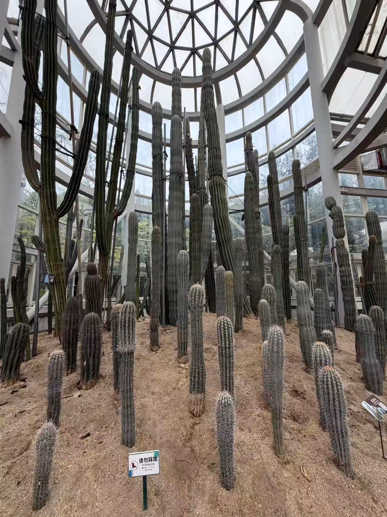 植物园-多肉区-2